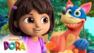 Swiper No Swiping ✋ Dora amp Swipers Best Moments  Dora amp Friends [upl. by Philipa]