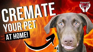 This Is How To Cremate Your Pet At Home [upl. by Enyalb473]