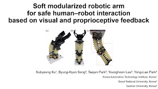 Soft Modularized Robotic Arm for Human–Robot Interaction Based on Visual and Proprioceptive Feedback [upl. by Akimihs888]