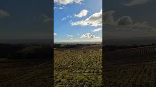 Drone Over Morgon CRU BEAUJOLAIS France [upl. by Jahdal514]