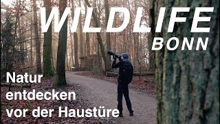 NATURFOTOGRAFIE vor der eigenen Haustüre in Bonn  waldmomente [upl. by Arondel]