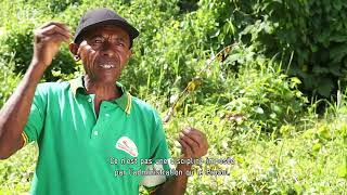 MISE EN DEFENS DANS LA REGION AGROECOLOGIE MADAGASCAR [upl. by Zeralda]