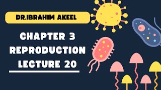 Chapter threeReproductionlecture twenty menstrual cycle  parthenogenesis and hermaphroditism [upl. by Aduh]