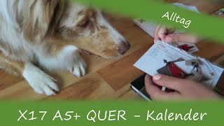 X17 A5 QUER  Kalender 2017  Unboxing  von Frauchen [upl. by Nasya]