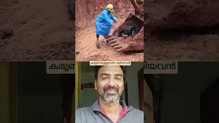 കരുണയുള്ളവൻ വലിയവൻrescuedog dog dogs rescue malayalam viralvideo trending shortvideo views [upl. by Seko]