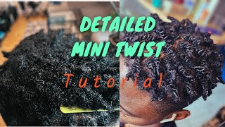 Mini Twists  Short Hairstyle  Twists on very Short Hair  How to domake short afro hair [upl. by Esertap911]