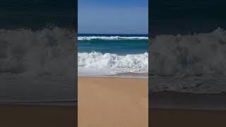 Great Surf today Lakes Entrance Australia shorts [upl. by Zannini]