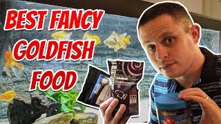 Best Fancy Goldfish Food  What I Feed My Fish [upl. by Ahsiakal]