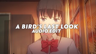 a birds last look jersey remix  macabre plaza edit audio [upl. by Zandra]