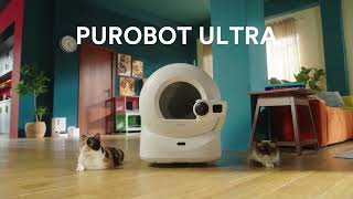 PRE LAUNCH PETKIT PUROBOT ULTRA AI Smart Cat Litter Box [upl. by Dnalevelc]