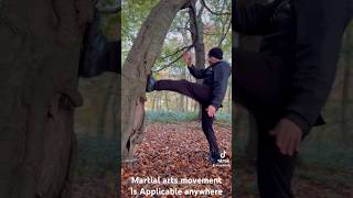 Oldschool martial arts training to keep strong martialarts [upl. by Melleta535]