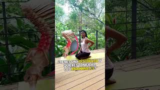 DISCOPATIAS Ejercicio Abdominal yoga salud fisioterapia yogi asana abs shorts [upl. by Lrae]