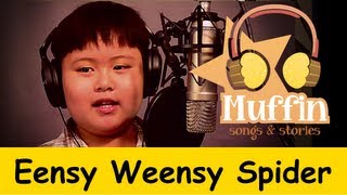 Eensy Weensy Spider Itsy Bitsy  Family Sing Along  Muffin Songs [upl. by Acirej]