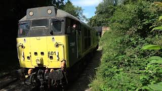 Ecclesbourne Valley Railway 31601 18072024 [upl. by Rehptsirhc]