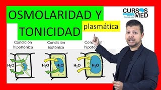 OSMOLARIDAD PLASMÁTICA OSMOSIS Y TONICIDAD explicado FÁCIL [upl. by Nodarse]