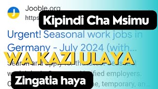 Napataje kazi Ulaya Msimuu huu wa seasonal jobs  sikiliza kwa makini [upl. by Ahsaten6]