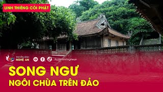 Linh thiêng cõi Phật Song Ngư ngôi chùa trên đảo [upl. by Domonic]