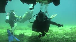 Dive Site Vlog  The Gregory  Dive Log Archive [upl. by Laks110]