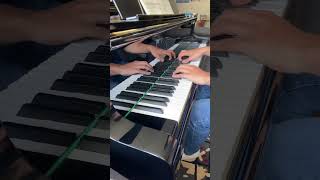 Je Te Laisserai Des Mots music piano pianocover pianist [upl. by Jemie]