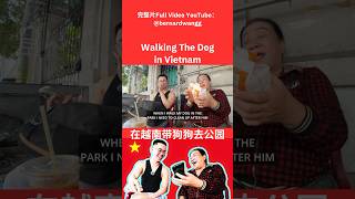 Discover the Easy Way to Explore Vietnam with Your Dog [upl. by Purdum535]