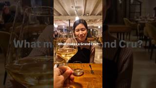 What makes a Grand Cru grandcru chablis chardonnay wine frenchwine winelover vineyards [upl. by Itraa]