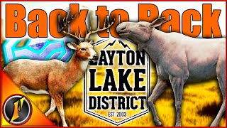 BACK TO BACK Trophies  Diamond Whitetail amp Albino Moose [upl. by Ahseikal]