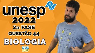 UNESP 2022  2a Fase  Questão 44  Sangue raro presente em apenas 11 famílias brasileiras salva beb [upl. by Oiramaj]