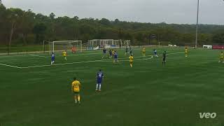 Lior Schlesinger 2024 Goals amp Highlights [upl. by Eisso]