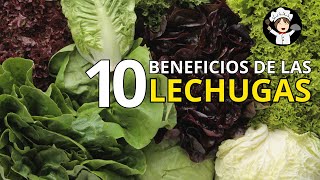 10 Razones por las que la Lechuga es el Alimento Ideal para Tu Salud [upl. by Liartnod567]