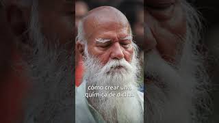 La verdadera fuente de la paz  shorts Sadhguru Español [upl. by Rachele571]