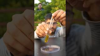 Bio deseil make with algae experiment science scienceexperiment crazyxyz shorts viral [upl. by Assirhc]