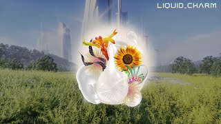 SCIFEEL  LIQUIDCHARM [upl. by Hum]