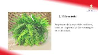 Tropismos y nastias – Octavo Grado – Ciencias Naturales [upl. by Philomena]