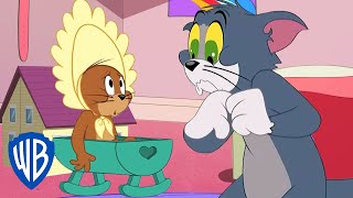 Tom y Jerry en Latino  Adoptan a Jerry  WB Kids [upl. by Abdul]