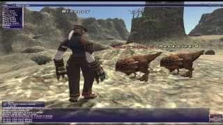 Lets Play FFXI 2014 Part 1  Quest for Leaping Lizzy [upl. by Yerag245]