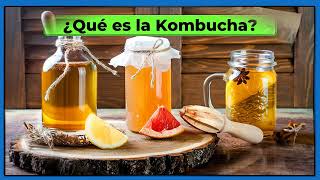 ¿QUE ES LA KOMBUCHA [upl. by Lolande919]