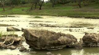 Fish traps  with Dr Dave [upl. by Hajile270]