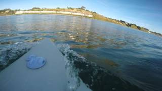 Great White Shark Encounter Surfing in Santa Cruz CA [upl. by Hume]