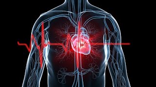 Isoproterenol Induced Myocardial Infarction in Rats [upl. by Aiceled]