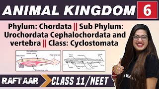 Animal Kingdom 06  Phylum Chordata II Class Cysclostomata  Class 11NEET  RAFTAAR [upl. by Coretta943]