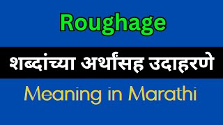 Roughage Meaning In Marathi  Roughage explained in Marathi [upl. by Suciram]