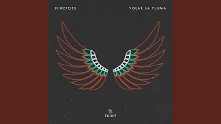 Volar La Pluma Extended Mix [upl. by Eiramyllek]