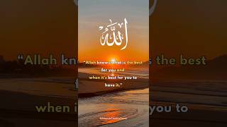 ALLAH Knows What Is Best For You 💘 79  Islamic Quotes  AhsanulsCreativeCorner  islamicquotes [upl. by Kowtko]