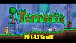 Outdated  New Seed Soon Terraria 142  Fledgling Wings Seed [upl. by Heck]