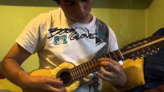 Arpegio Alturas  Charango Cover Inti Illimani [upl. by Ahsilaf17]