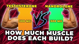 300 MG Testosterone Vs 300 MG Nandrolone  Exactly How Much Muscle Does Each Build [upl. by Idnew570]