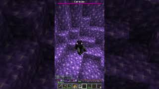 Drache VS Drache minecraft caravas challenge [upl. by Haibot]