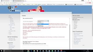 Tutorial TS3 DNS Einrichten Personalisierte IP Adresse für euren TS 3 Server KOSTENLOS [upl. by Andri913]