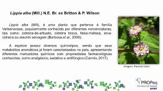 Avaliação da atividade antiviral do óleo essencial de Lippia sp contra o HSV 1 cepa KOS 1 [upl. by Haidedej]