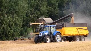 Moisson Harvest 2014 CX 840  T6090 [upl. by Treb]